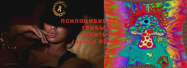 винт Армянск