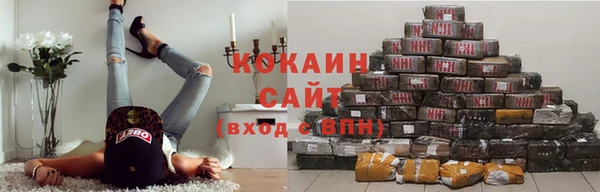 спайс Арсеньев