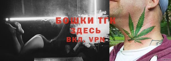спайс Арсеньев