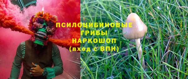 спайс Арсеньев