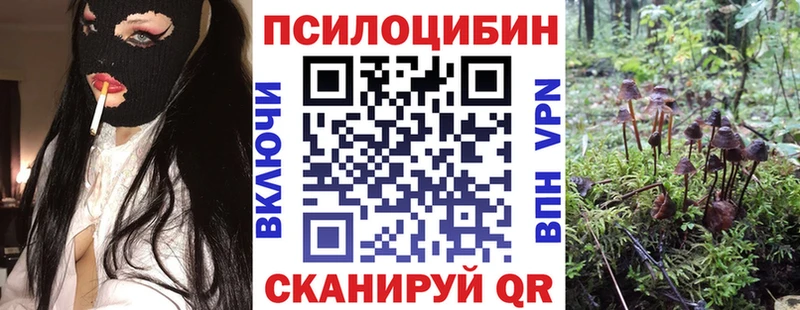 Галлюциногенные грибы мицелий Крым