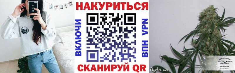 Каннабис планчик Крым